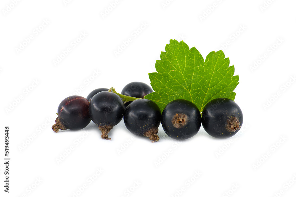 Blackcurrant berries with leaf over white Blackcurrant berries with leaf over white