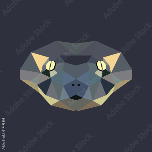 The Anaconda polygon illustration