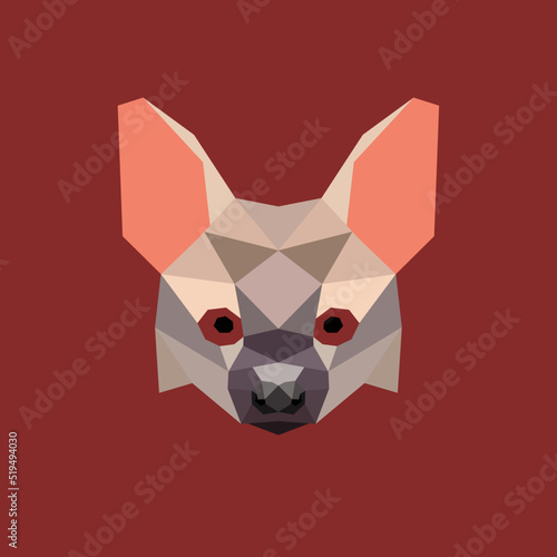 The Aardwolf Polygon Illustration 