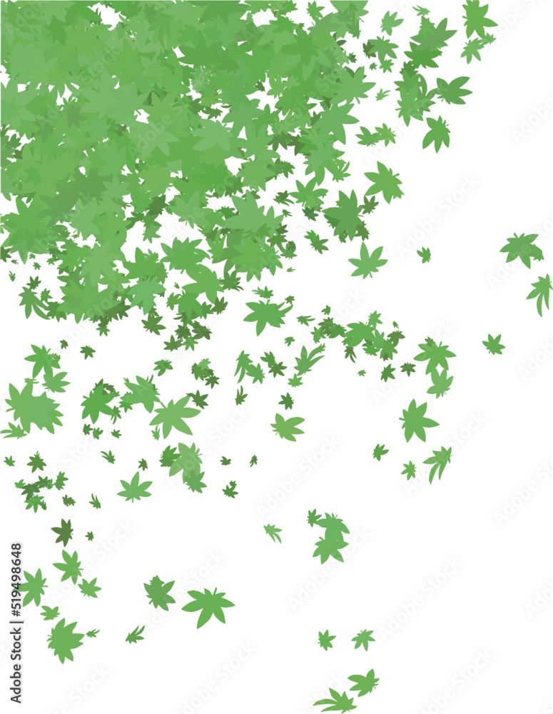 夏の紅葉の背景イラスト 新緑 縦長 ベクター 夏の紅葉の背景イラスト 新緑 縦長 ベクター