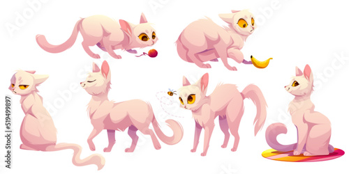 Cute white cat character in different poses. Vector cartoon illustration of funny kitten sitting carpet, walking, scared of banana and bee, play with yarn ball and grumpy