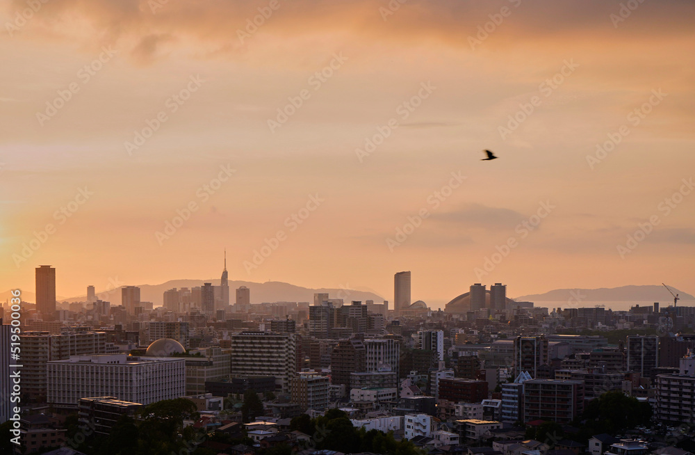 Obraz premium 福岡の夕景