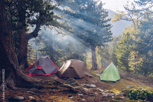 Camping tents in forest. Tourism concept, outdoors leisure. Life in a tent. Pine trees grove camping place stock photo