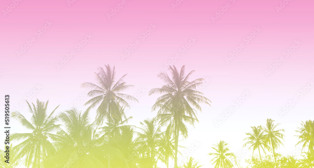 Summer colorful theme with palm trees background as texture frame image background