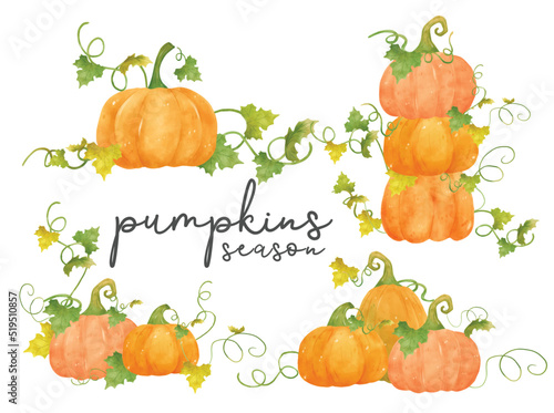 watercolor orange pumpkin with leaf and vine hand drawn painting illustration vector banner