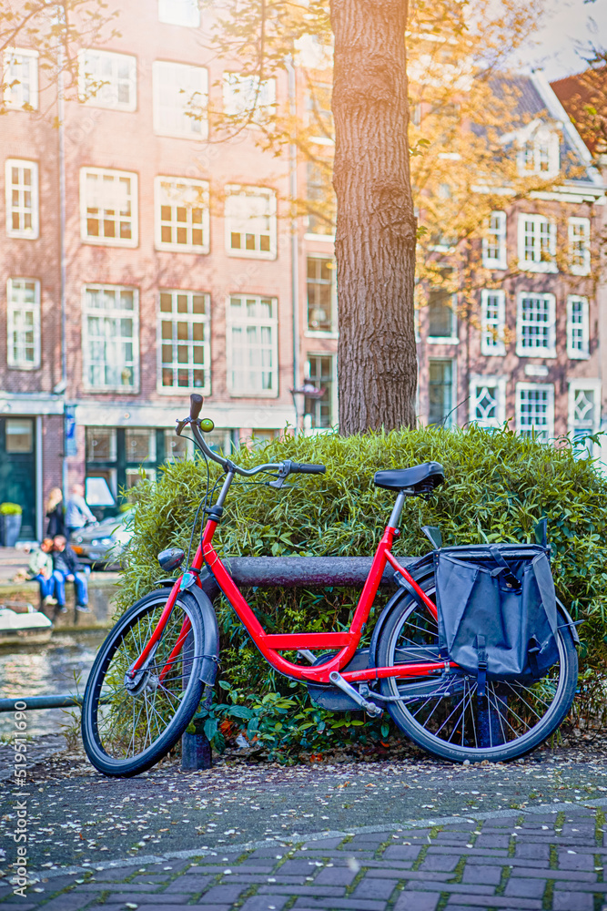 Netherlands Travel Concepts. Traditional Old Bicycle in Amsterdam Leaned to Tree With Bushes in the Netherlands