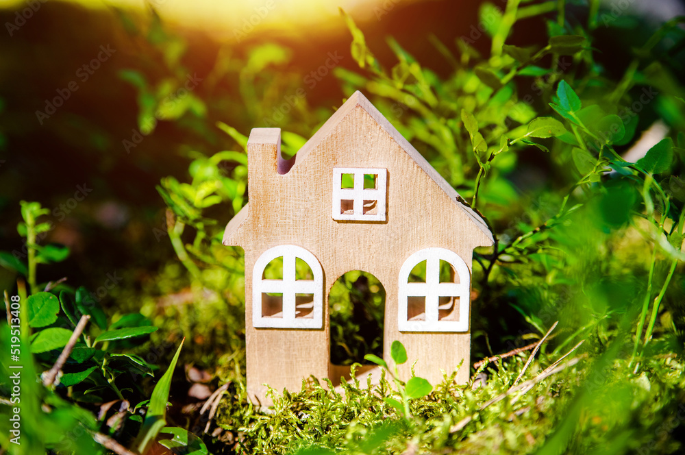 the symbol of the house stands on green moss
the symbol of the house stands on green moss