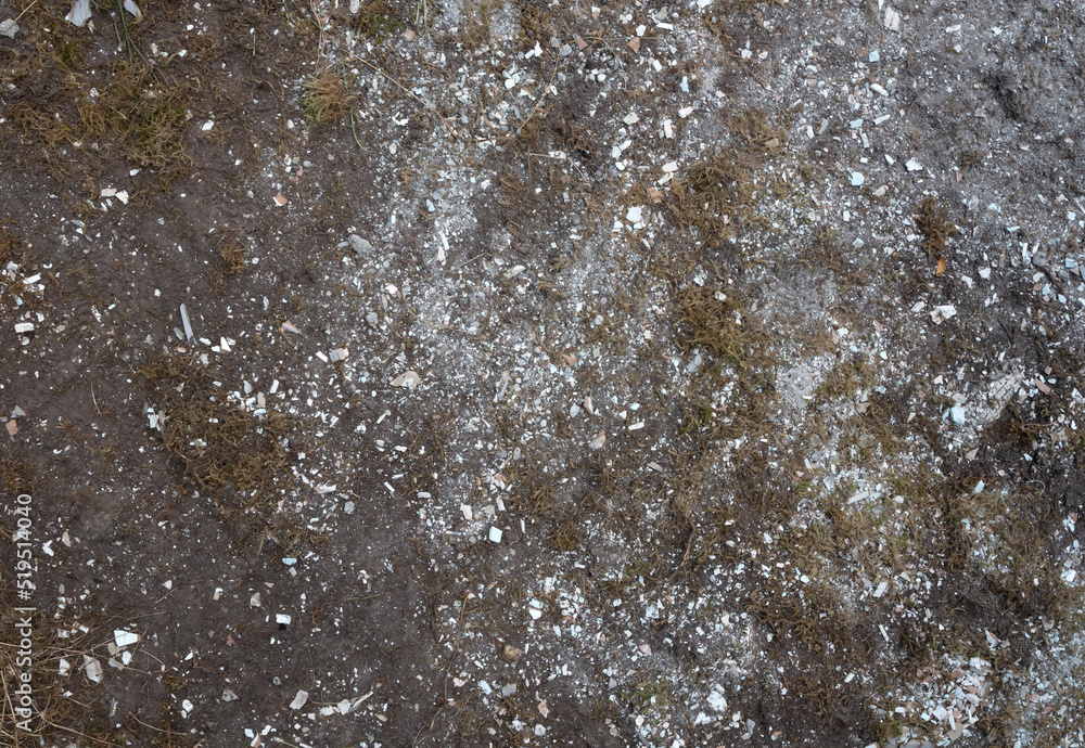 Dirty ground, black sand, green plants and rubble have mixed Dirty ground, black sand, green plants and rubble have mixed
