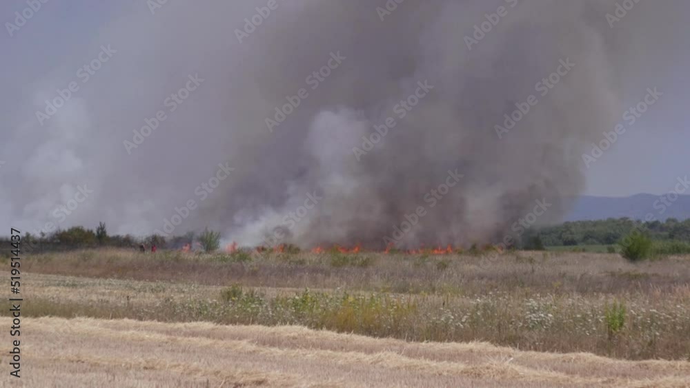 fire of dry grass in the field. environmental warming. the heat is gone. fire of dry grass in the field. environmental warming. the heat is gone.