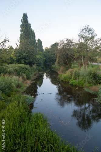 Ría de Villaviciosa photo