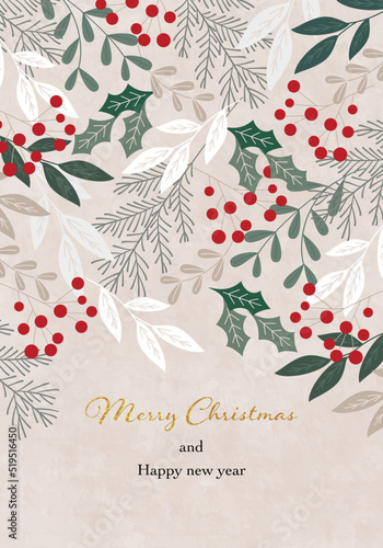 クリスマスのベクターイラストフレーム背景(greeting,invitation,card,postcard,xmas,X'mas)