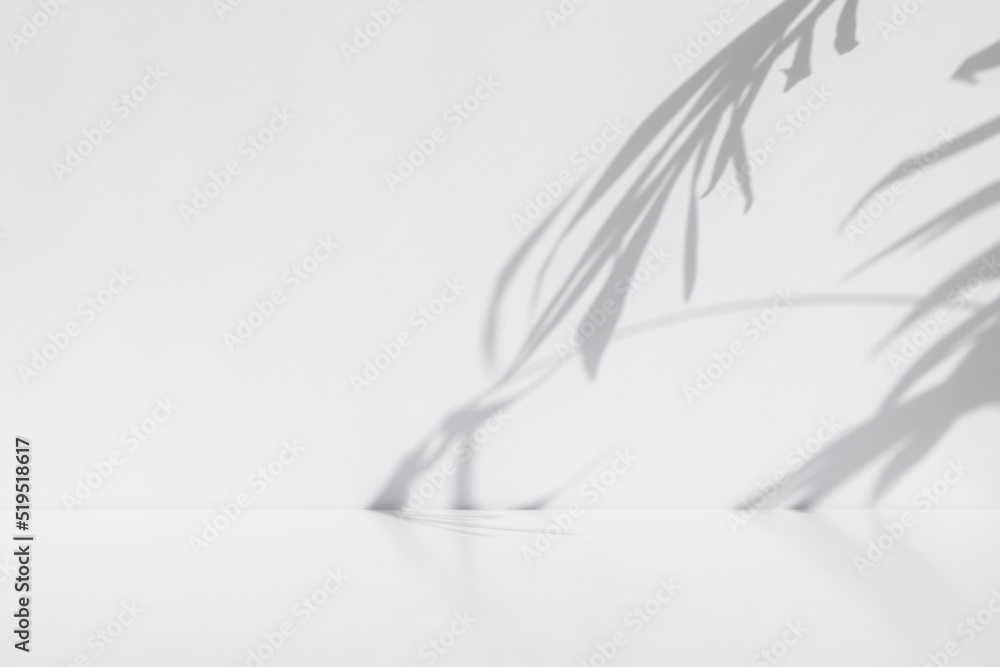 Minimal abstract scene for the presentation of a cosmetic product. Premium podium with a shadow of tropical palm leaves on a white background. Showcase, display case. Minimal abstract scene for the presentation of a cosmetic product. Premium podium with a shadow of tropical palm leaves on a white background. Showcase, display case.