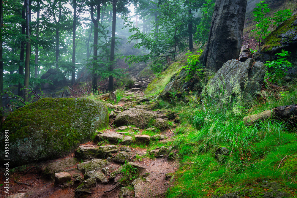 A foggy landscape of stairs from hellish Valley to Chojnik Castle in the Karkonosze Mountains. Poland A foggy landscape of stairs from hellish Valley to Chojnik Castle in the Karkonosze Mountains. Poland