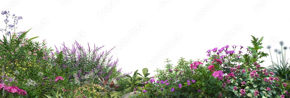 Colorful flower garden on a white background Colorful flower garden on a white background
