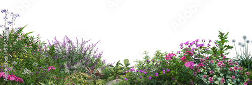 Colorful flower garden on a white background