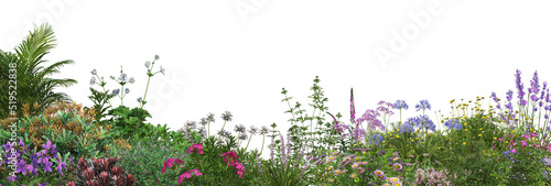 Colorful flower garden on a white background © jomphon
