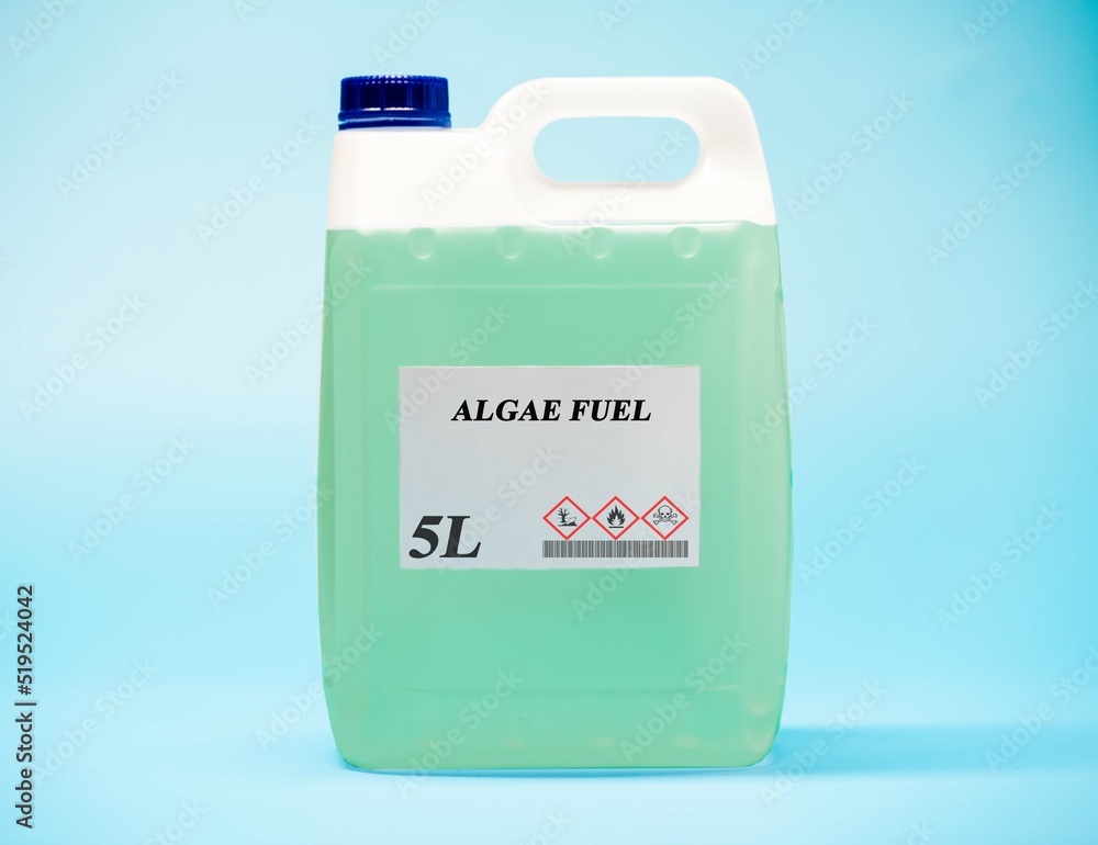 Biofuel in chemical lab in glass bottle Algae Fuel Biofuel in chemical lab in glass bottle Algae Fuel
