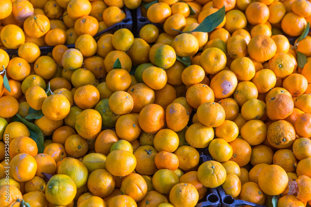 Tangerines standing on the market stall