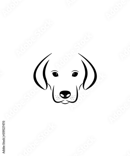 Dog in black nd white