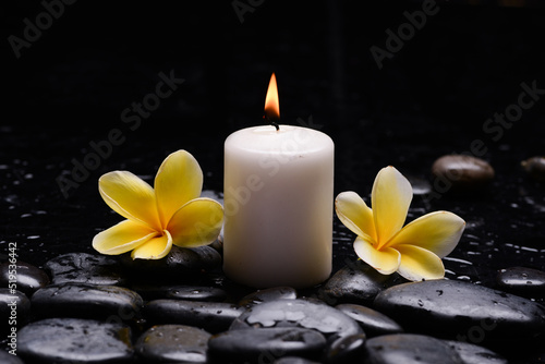 Still life of with Plumeria, frangipani with candle zen black stones on wet background