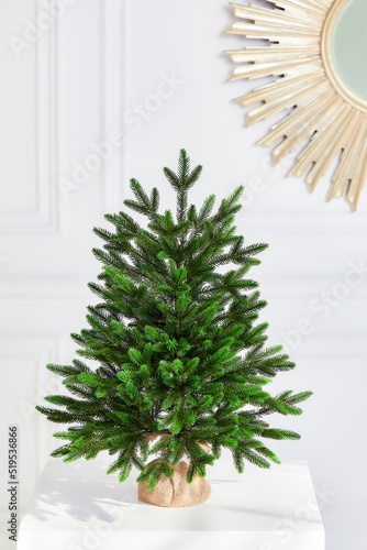 Pretty bushy danish Christmas tree without decorations in a large pot wrapped in sackcloth with space for your message on white background