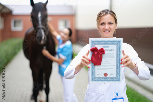 International veterinary certificate for sport horses closeup photo
