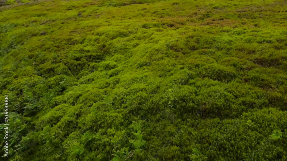 Aerial view low flying across Marsden moorland rural green Peak district valley