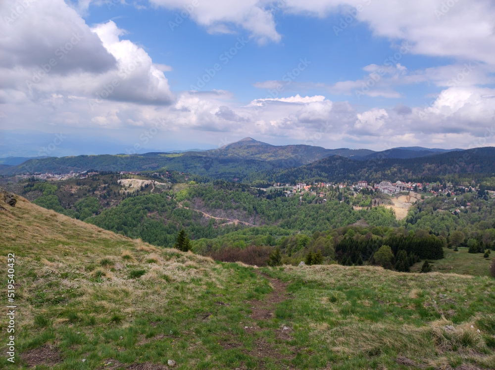Fototapeta premium spring in the Kopaonik national park in Serbia