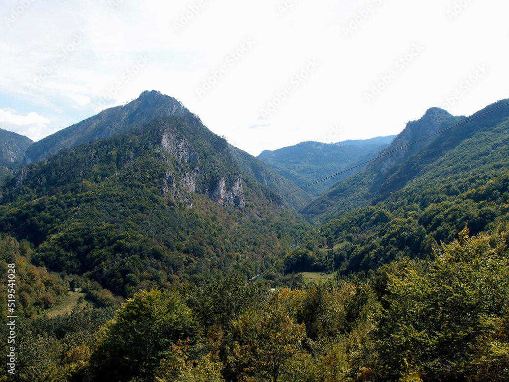 Scenic mountain landscape, view of the mountain range with the forest, green trees, and blue sky