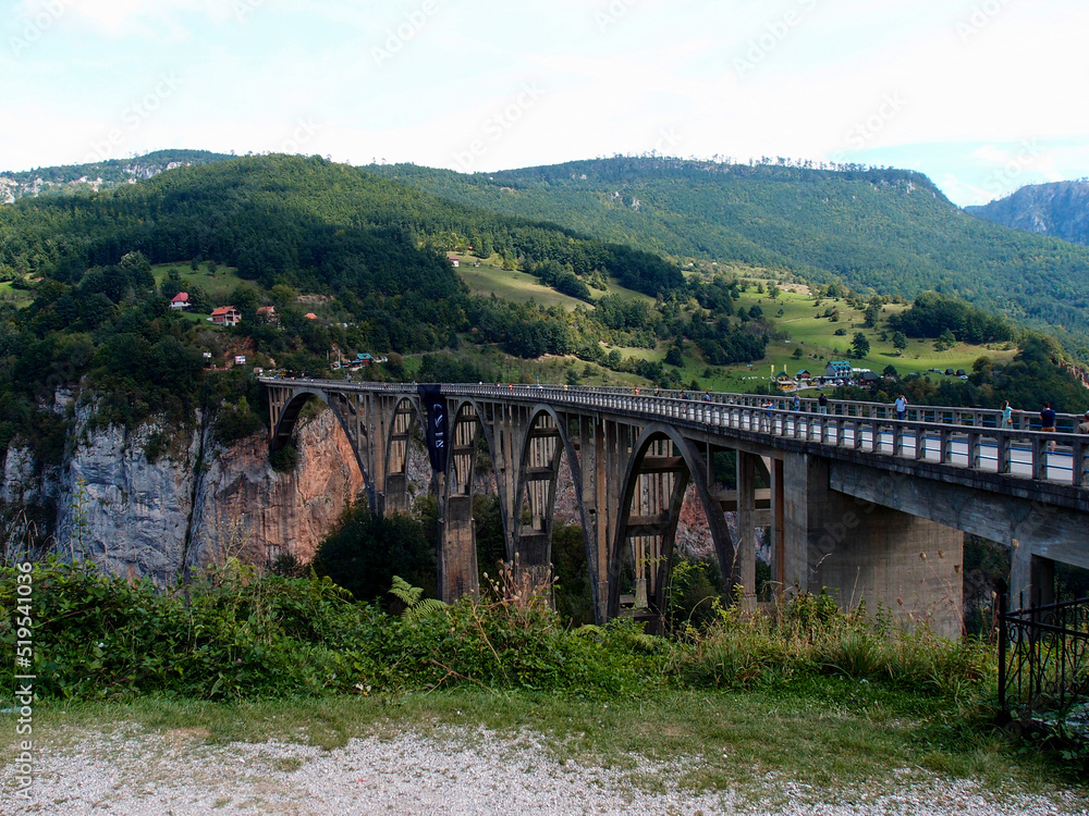 View of the old concrete arch bridge in the canyon of a mountain river, Đurđevića Tara Bridge, Tara River Canyon, Montenegro.