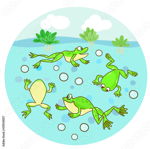 The Frog’s life cycle vector.
