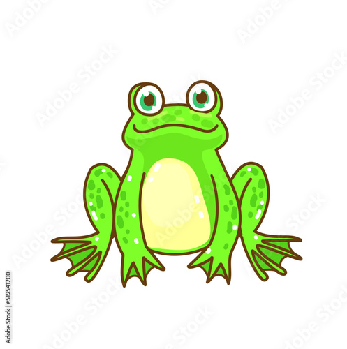 The Frog’s life cycle vector.