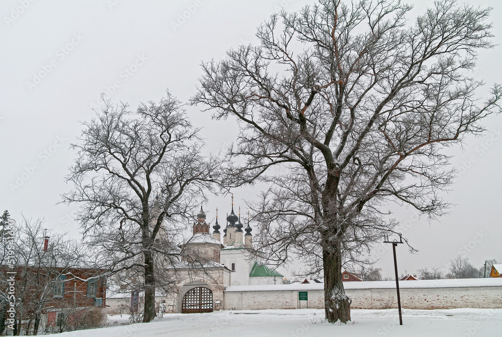 Beautiful trees in front of the gates of the Orthodox monastery.