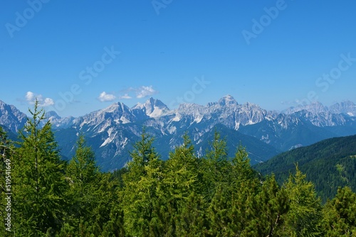 View of mountains Jalovec and Mangart in Julian alps, Gorenjska, Slovenia and larch (Larix decidua) trees
