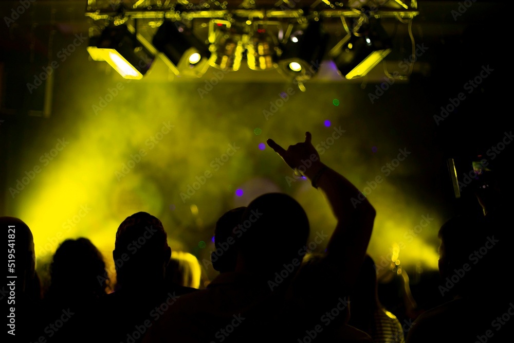 raised hands of crazy people at a rock concert, front and back background is blurred with bokeh effect