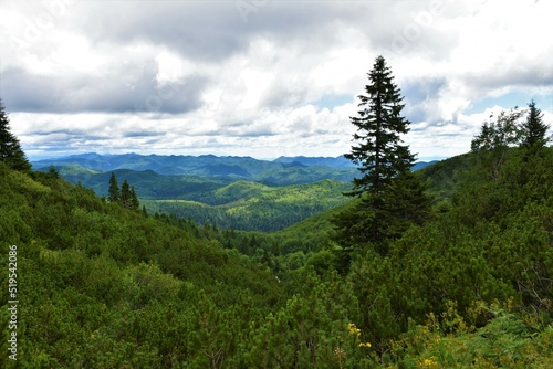 View of Sneznik karst plateau covered if forest in Notranjska region of Slovenia
