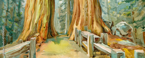 Sequoia National Park in the southern Sierra Nevada. Banner from a series of USA National Parks. Hand-painted panoramic background.