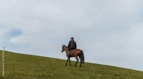 horse and rider on a meadow