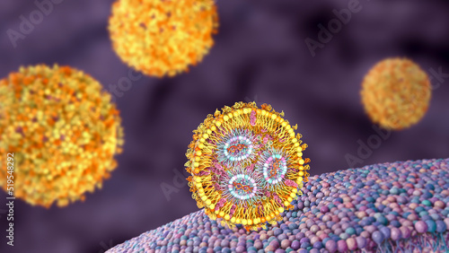 Tableau sur toile Lipid nanoparticle siRNA antiviral delivery system, 3D illustration