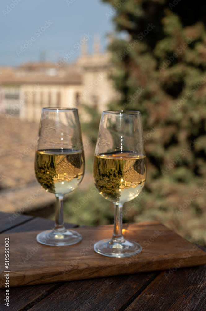 Tasting of Spanish sweet and dry fortified Vino de Jerez sherry wine with view on roofs and houses of old andalusian town Tasting of Spanish sweet and dry fortified Vino de Jerez sherry wine with view on roofs and houses of old andalusian town