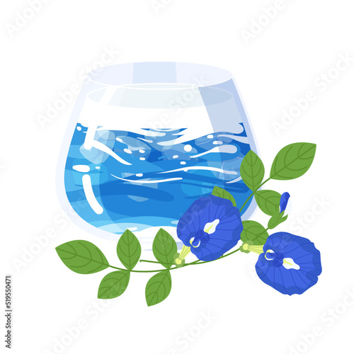 Butterfly pea or blue pea tea latte with ice isolated on white background. Flat vector drink illustration