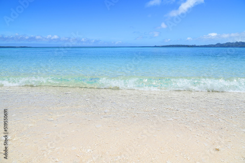 沖縄の美しい青い海 © Liza5450