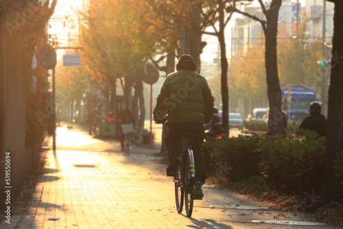 冬の朝、自転車をこぐ男性の後ろ姿の写真 アジア 日本