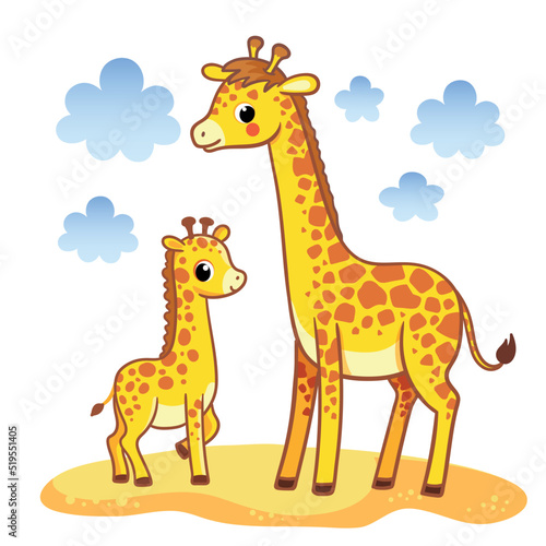 Cute giraffe with a cub stands on a sandy meadow among the clouds on a white background.