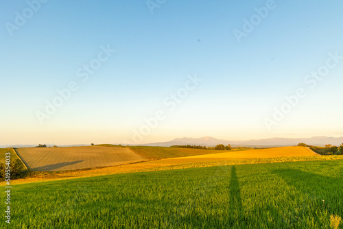 夕日に染まる美瑛の丘「秋の北海道」