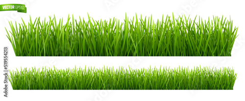 Vector realistic illustration of grass borders on a white background.