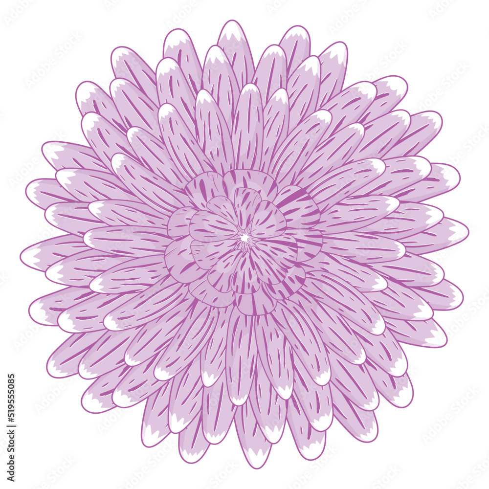 Simple purple aster flower in flat style isolated on white background
