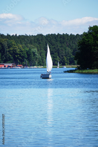 Fototapeta Naklejka Na Ścianę i Meble -  Sailboat swimming on a lake, shore with trees