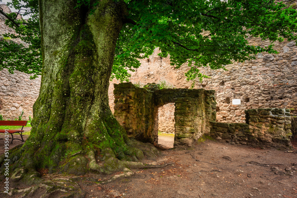 Ruins of the Chojnik Castle in Karkonosze mountains. Poland Ruins of the Chojnik Castle in Karkonosze mountains. Poland