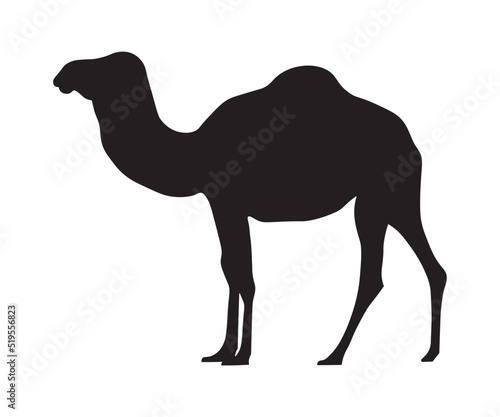 black silhouette  shadow of a one-humped camel